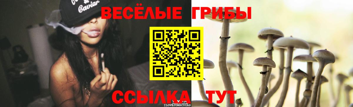 купить наркотики цена  Вход с VPN  Псилоцибиновые грибы GOLDEN TEACHER  Бутурлиновка  Галлюциногенные грибы мухоморы 